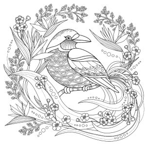 Bird with floral elements Birds Adult Coloring Pages