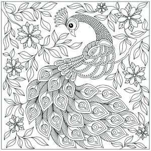Peacocks to print Peacocks Kids Coloring Pages