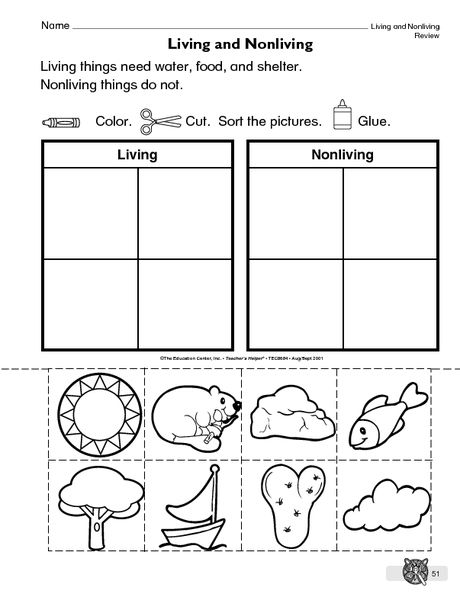 Living Things And Non Living Things Worksheet For Grade 2 Pdf