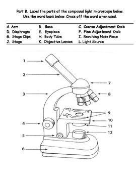 Worksheet 7th Grade Microscope Parts