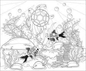 Underwater World Stress Coloring Book Adult Outline Drawing Coloring