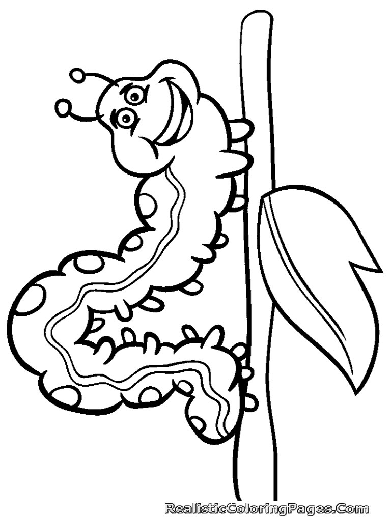 Insects Coloring Pages