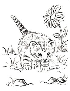 Kitten Coloring Page Art Starts