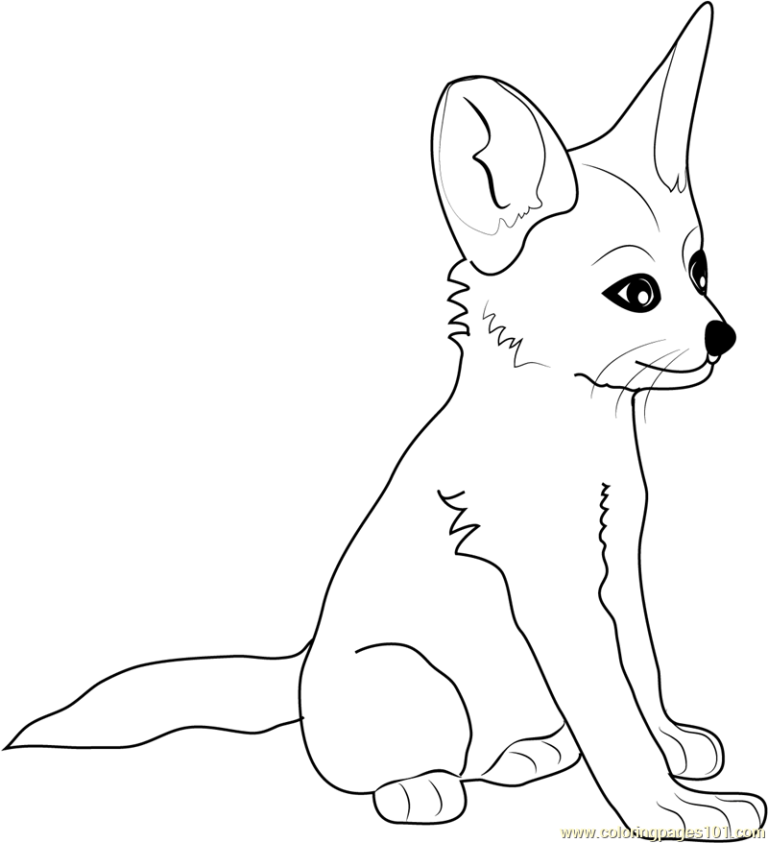 Coloring Page Fox