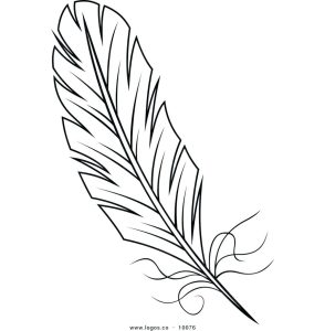 Peacock Feather Drawing at GetDrawings Free download