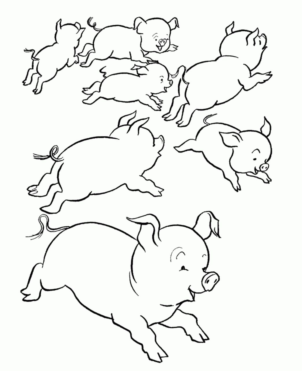Coloring Page Pig