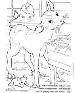 Get This Preschool Farm Animal Coloring Pages to Print nob6i