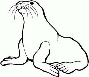 Free Sea Lion Coloring Pages