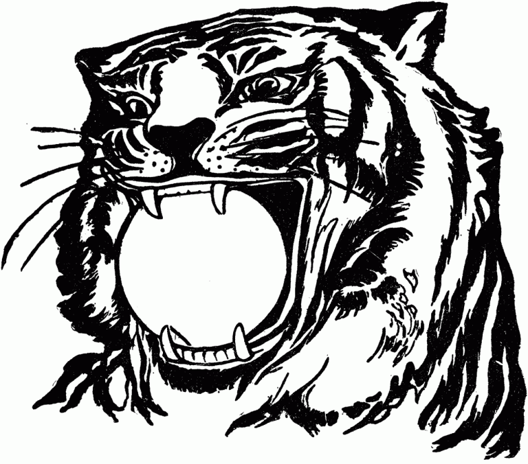 Tiger Color Page