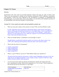 37 Virus Worksheet Answer Key combining like terms worksheet