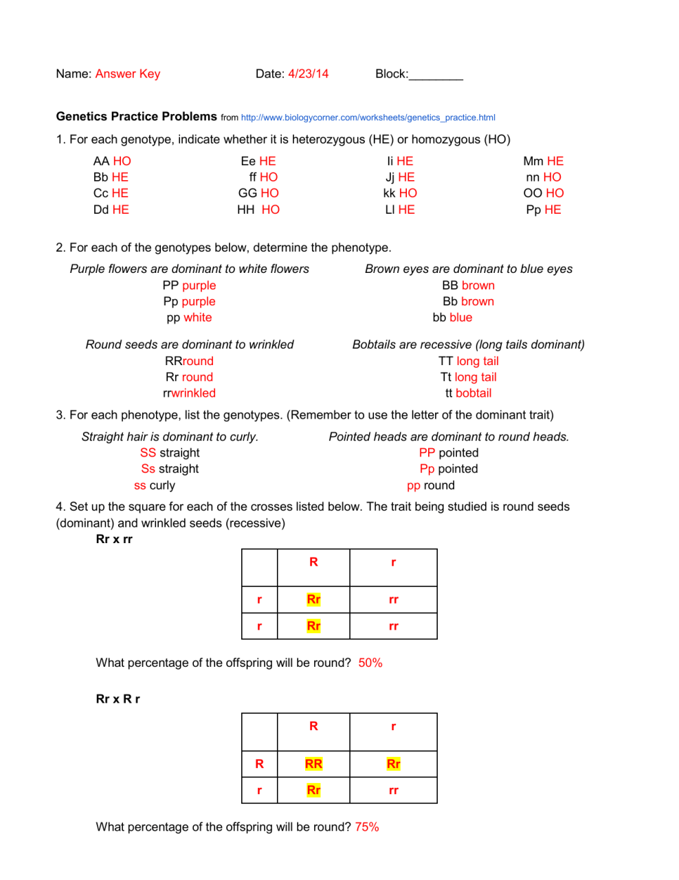 Worksheet Part 1 Understanding Phenotype And Genotype Answer