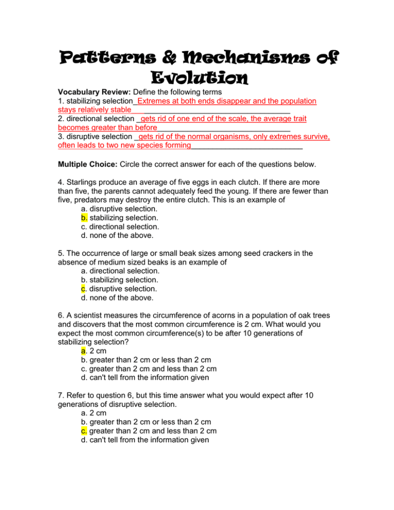 Evolution Vocabulary Worksheet Answer Key