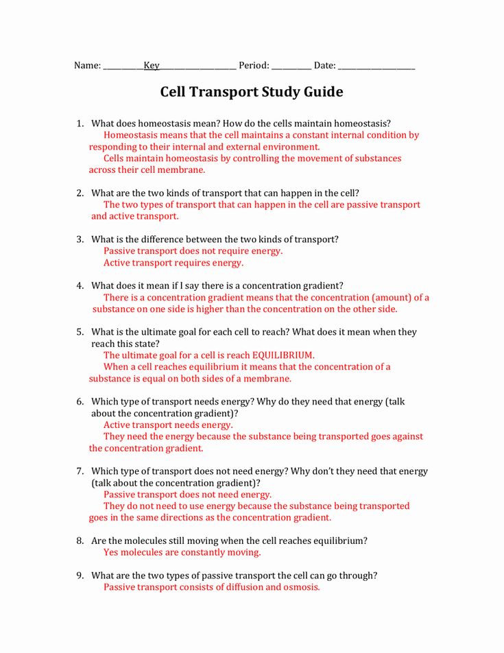 Cell Transport Worksheet Answer Key Pdf