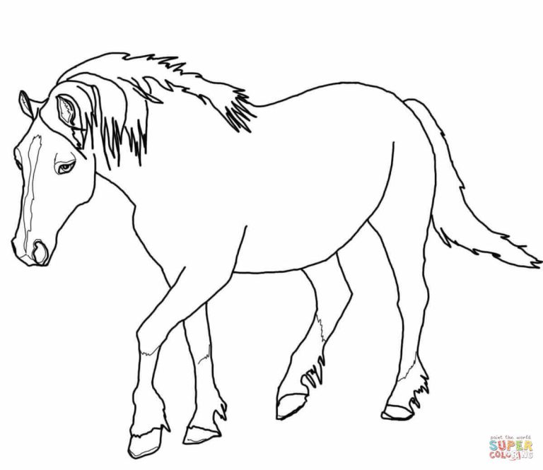 Free Printable Coloring Pages Of Horses