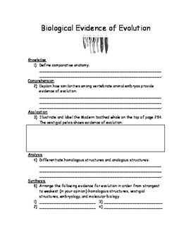 Introduction To Evolution Worksheet Answer Key