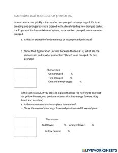 Square Dominance Worksheet Answer Key / What Are