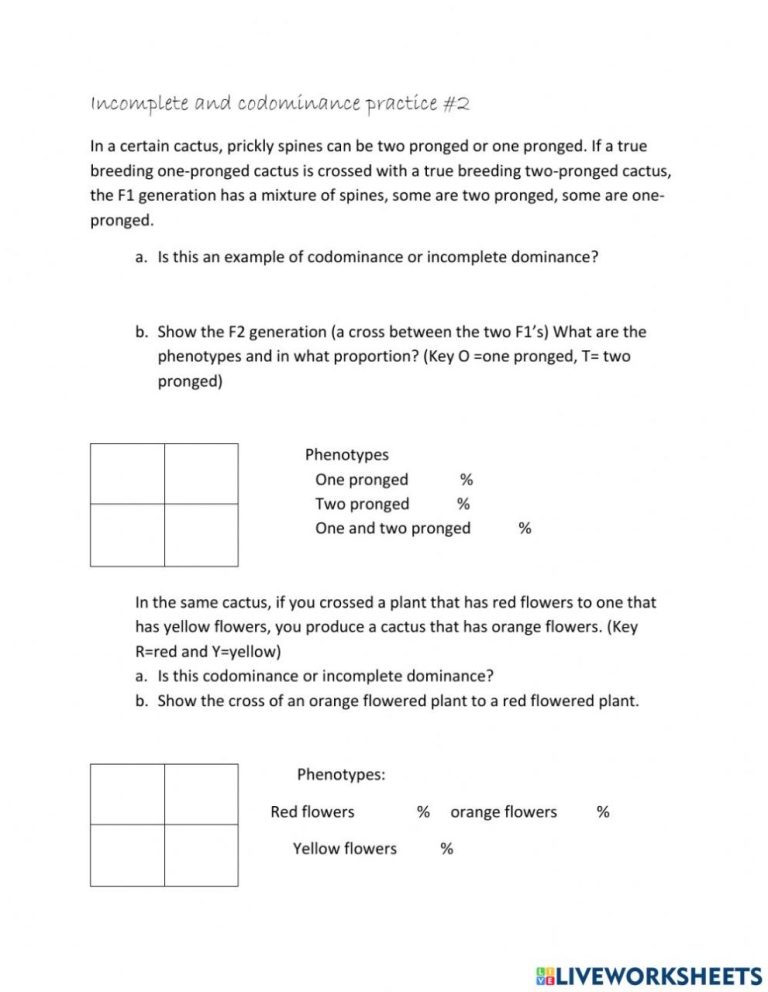 Multiple Alleles And Codominance Worksheet Answers