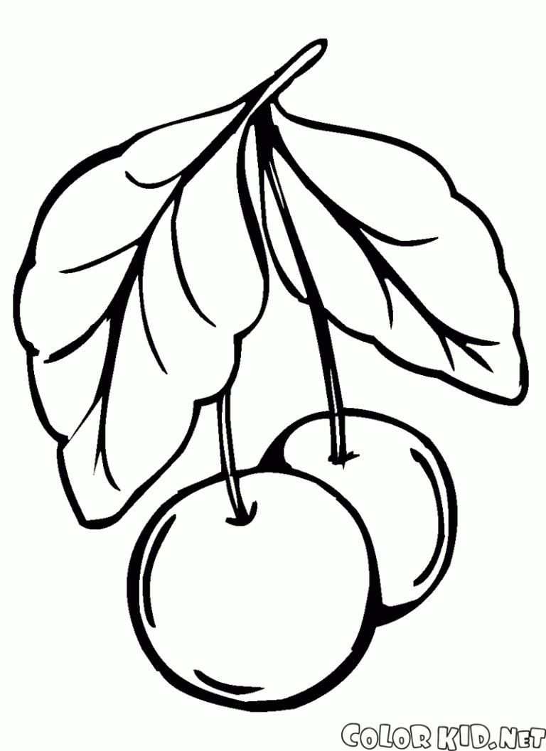 Cherry Coloring Pages
