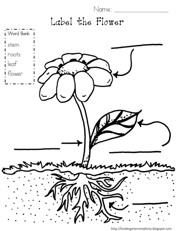 Coloring Page Plant