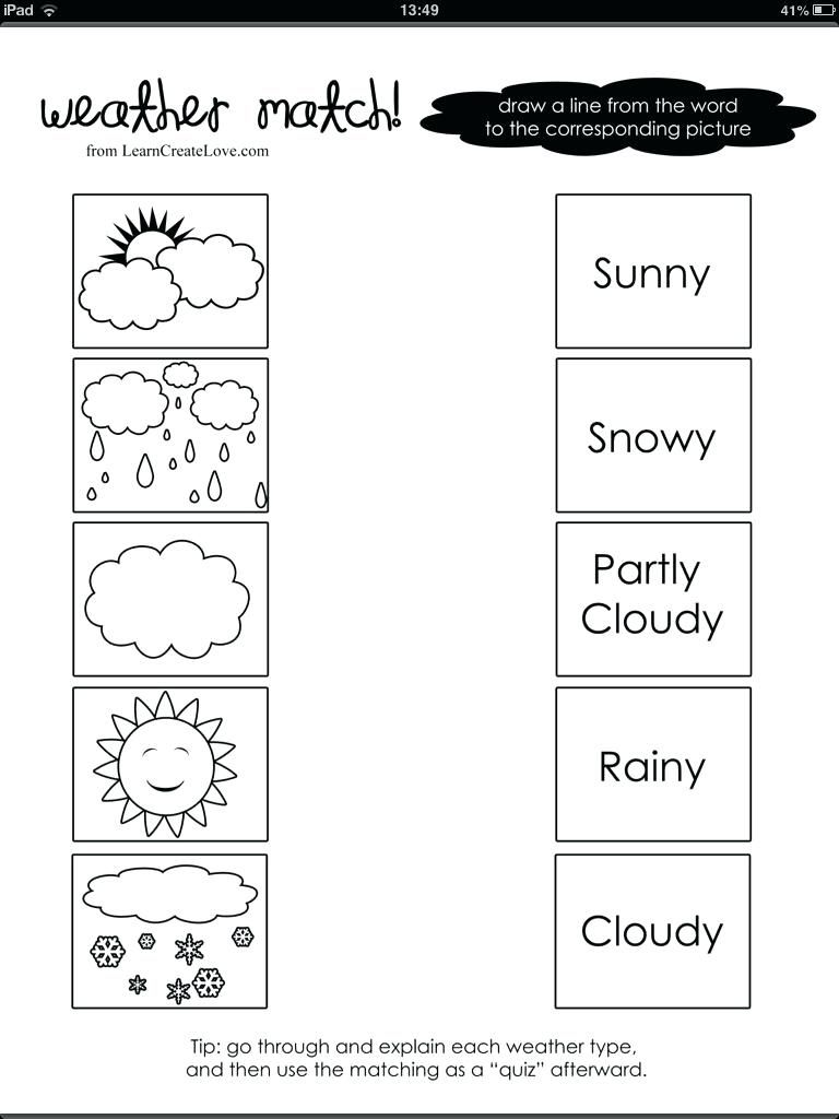 Free Printable First Grade 1st Grade Science Worksheets