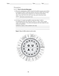 Chapter 8 From Dna To Proteins Worksheet Answer Key Islero Guide