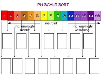 Ph Scale Worksheet Answer Key