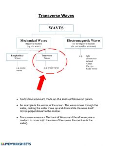 Waves 2 Transverse Waves worksheet