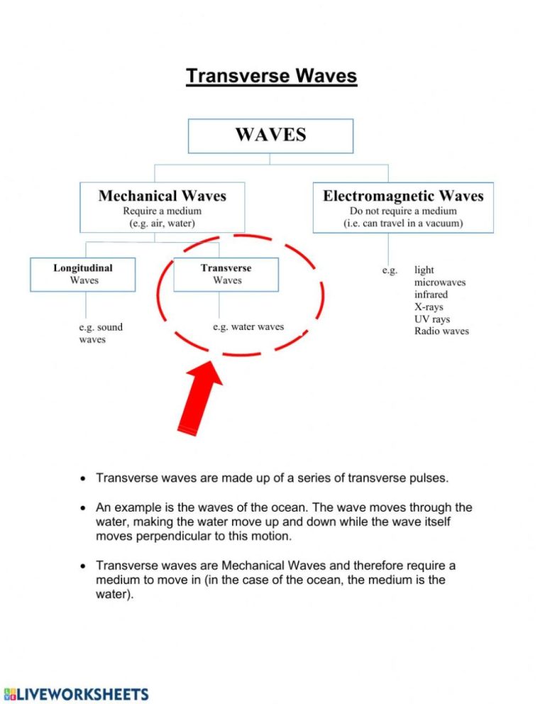 Transverse Waves Worksheet Answer Key