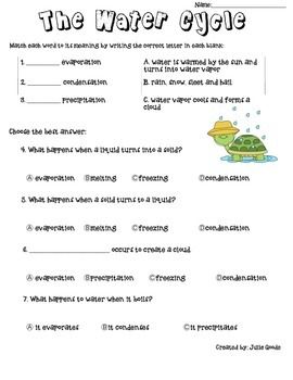 Cycles Of Matter Worksheet Answers