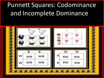 Punnett Square Codominance And Incomplete Dominance Worksheet