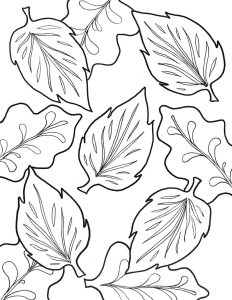Fall Leaf Coloring Sheet Etsy Leaf coloring, Coloring sheets