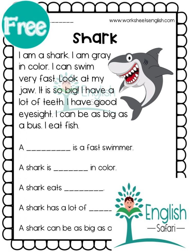 Shark Reading Comprehension Worksheets