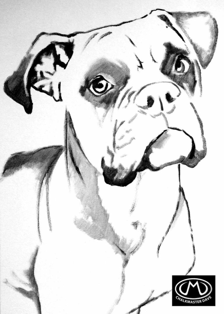 Boxer Coloring Pages