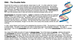Copy of DNA The Double Helix, Coloring Worksheet.pdf Double helix