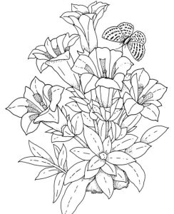 realistic flowers Colouring Pages (page 2) Sunflower coloring pages
