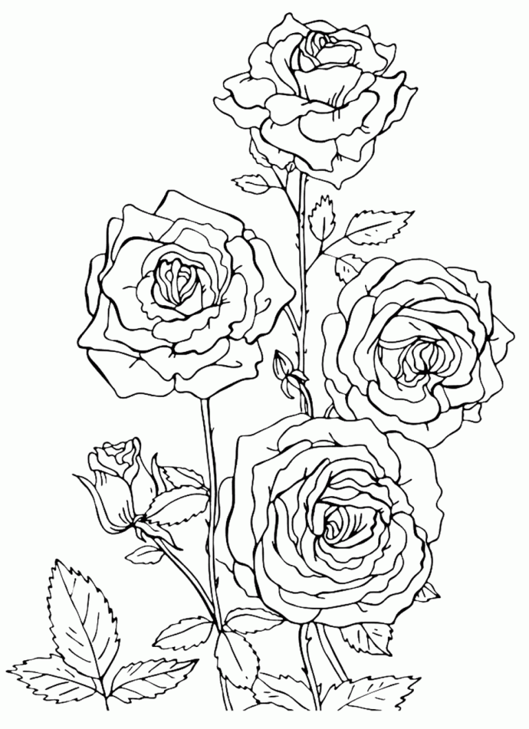 Coloring Pages With Roses