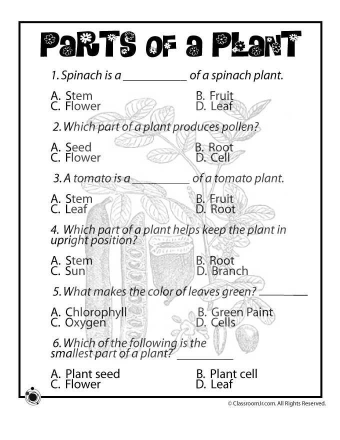 Third Grade 3rd Grade Science Plants Worksheets
