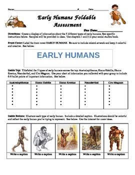 Human Evolution Worksheet Answers