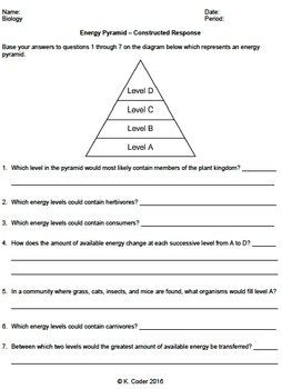 Energy Pyramid Practice Worksheet Answer Key