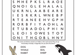 Word Puzzle Worksheets For Grade 2