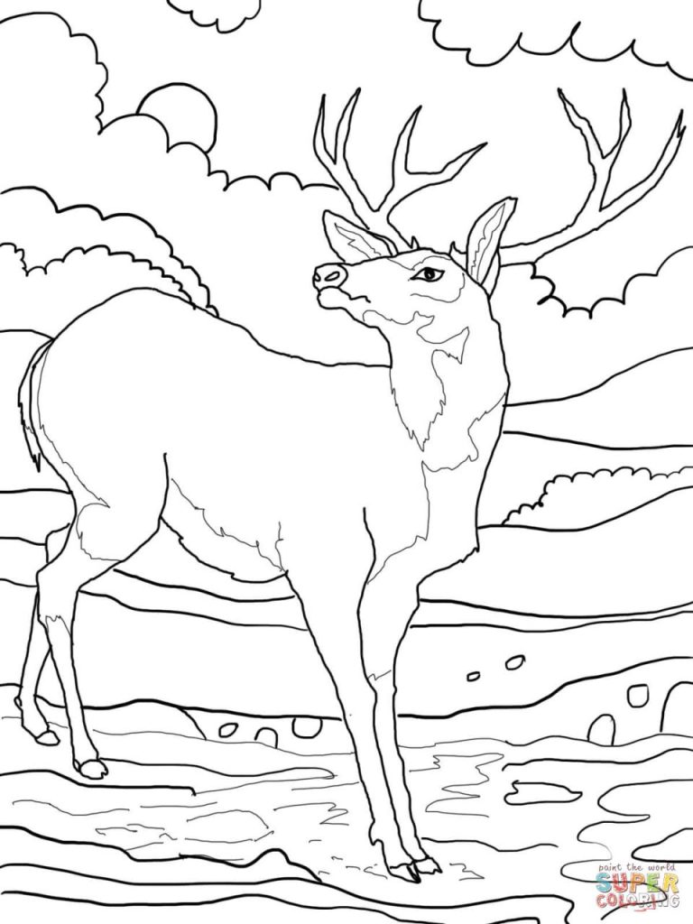 Dear Coloring Page