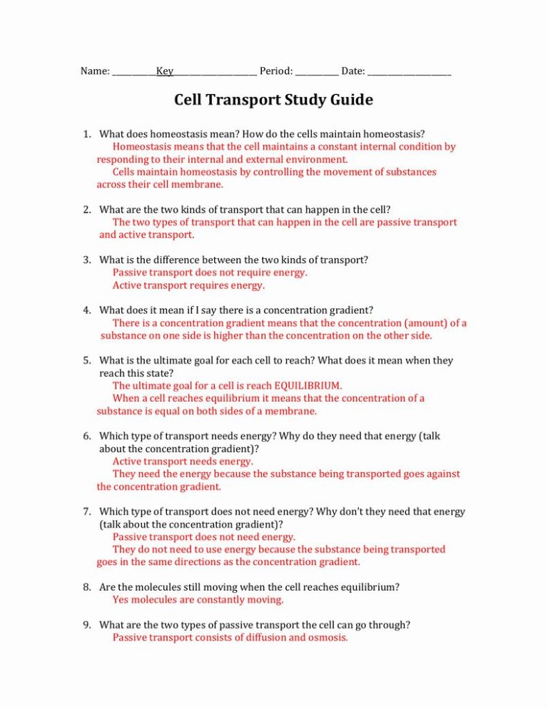 Cellular Transport Worksheet Answer Key