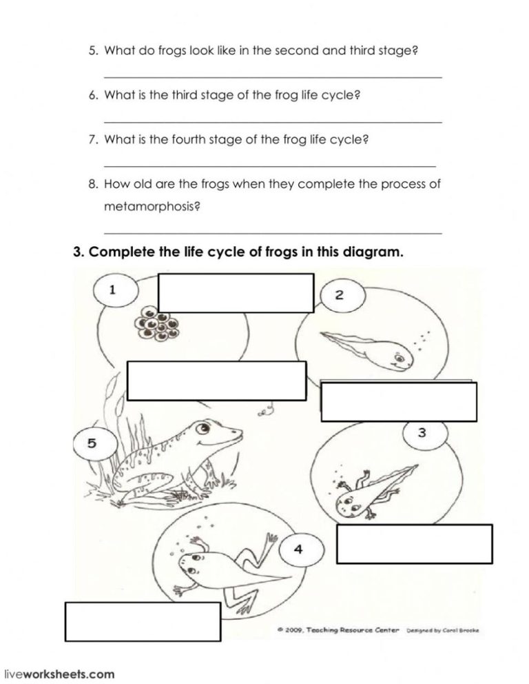 Active Reading The Metamorphosis Chapter 1 Worksheet Answers
