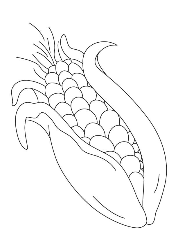 Coloring Pages Corn