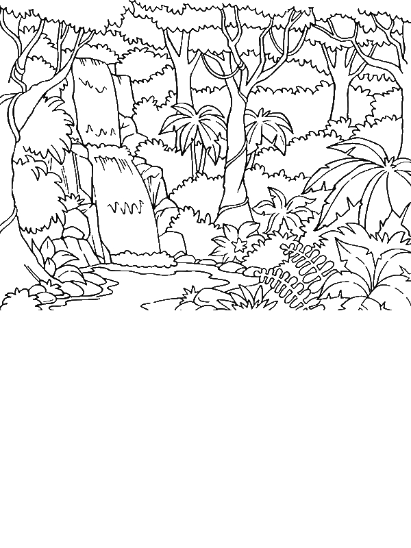 Beautiful Rainforest Coloring Page Download & Print Online Coloring