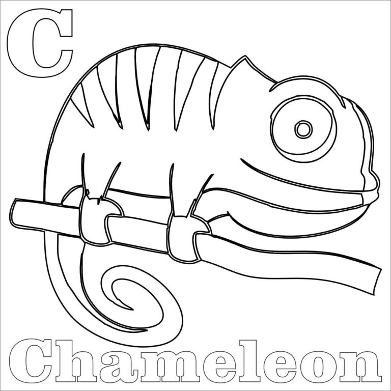 Chameleon Color Page