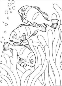 √ Free Clown Fish Coloring Pages Coral Reef Fishes Free Printable