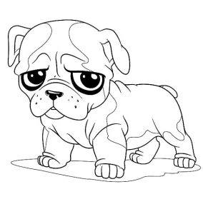 Cute Little Bulldog Coloring Pages Best Place to Color