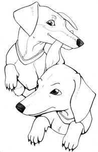 Dachshund Coloring Pages Best Coloring Pages For Kids