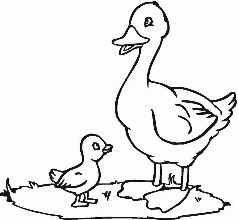 Ducky Coloring Pages